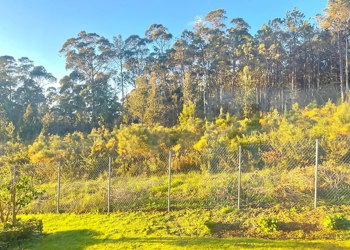 Daire Ultreia - Estorde